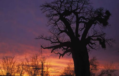 Mpumalanga timeshare resorts